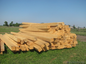 Бизнес (под ключ) На Алтае #876346