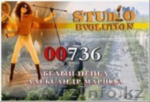 Караоке-система «Evolution Pro»  #873771