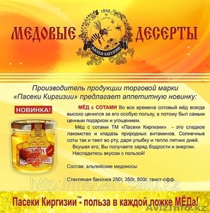 натуральный мёд оптом! #875371