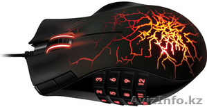 Мышки,  мышки в Алматы #879449