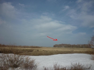 2 га на малой тимофеевке (лес) #887337