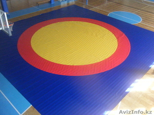 Покрытие для борцовского ковра (круг) #879159