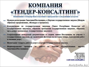 Компания «Тендер-Когсталтинг» #891337