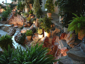 Зимний сад в доме,  офисе.  #880182