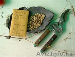 Услуги Садовника #904028