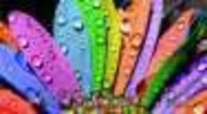 Курсы Corel DROW #895044