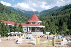 Уроки верховой езды Индивидуальные уроки верховой езды для начинающих и опытных  #895312