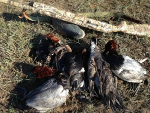 ружье охотничье Италия #893994