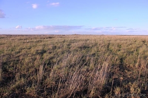 Земельный участок 1.5 га  #893719