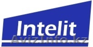 Предоставление IT услуг компания «INTELIT» #901828