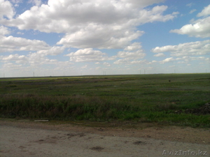 Срочная распродажа зем. участка п. Талапкер #901288