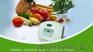 Озонатор - прибор для очистки воздуха,  воды и продуктов питания. #903872