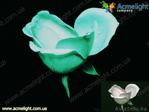 Приглашаем к сотрудничеству в г. Семей  #903820