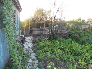 Продам дачу с/о Каштан #896902