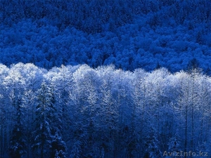 Куанышбай Казакбаевич #906758