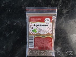 Продам корма для аквариумных рыбок  #915755