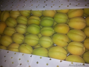 Оптово-розничная продажа абрикосов #916158