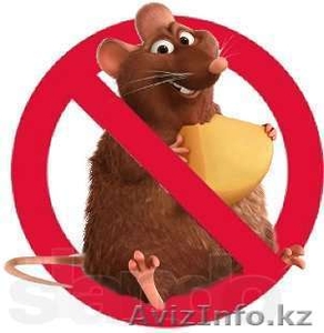 Уничтожение грызунов и насекомых в Астане #918255