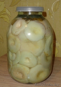 грибы соленые ГРУЗДИ #911389