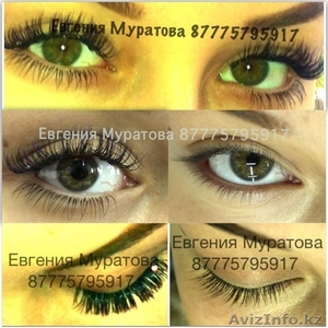Академия Lashmaker #912120