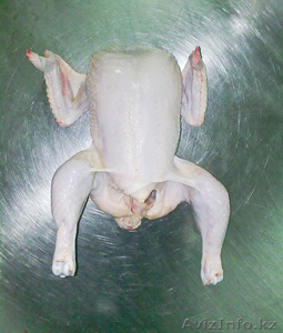 ц/б (охл.) -419 тг , цена с НДС с доставкой из РБ #917908