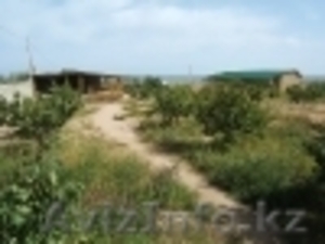 путевки Иссык-Куль #920944