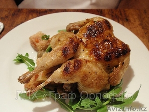 Продам тушки перепелов-АКЦИЯ #935864