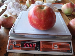 ИП Суздалева Ольга Васильевна #926912