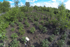 Продам два дачных участка #923021