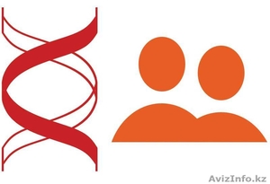 Днк тесты на отцовство #933999