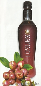 Целебный сок XANGO #932740