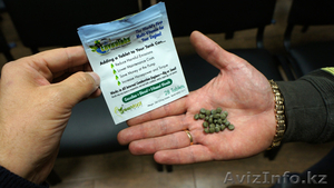 Envirotabs мультивитамин для автомобилей #948491