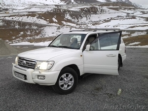 Сопровождение деловых встреч! #946686