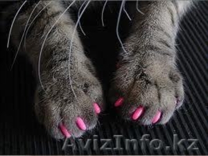 МАНИКЮР #942603