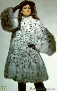 ШУБЫ ИЗ РЫСИ И ШИНШИЛЛ #947174