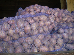 Картофель чувашский #942075