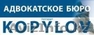 Русскоязычный адвокат в Германии. #965409