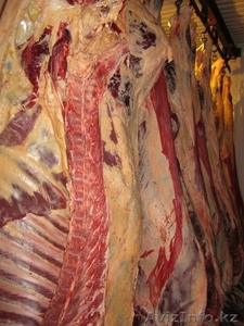 Мясо говядина оптом #956718