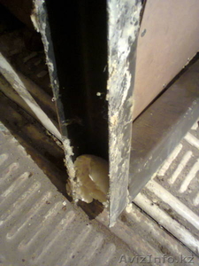 Металлическая дверь б/у 13000тг #962622