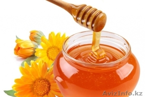 Срочно продам мед (желательно оптом)! #955822