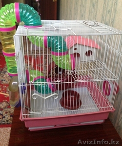 Продам клетку для грызунов #963996