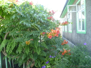 продам дом, на границе с городом п.Покровка #962029