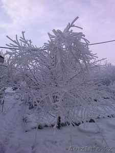 ПРОДАМ ЧАСТНЫЙ ПРИВАТИЗИРОВАННЫЙ ДОМ. #953295