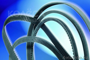 ремни оптом и в розницу корейского производства #969893