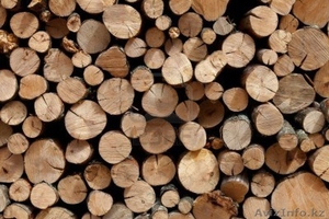  Продажа леса!  #970314