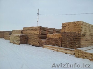 ТОО Лесная Компания #979116