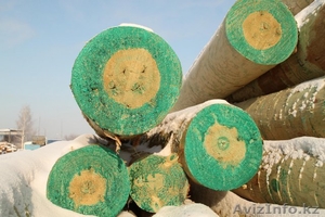 Опоры ЛЭП,  линии электро-передач. С пропиткой и без. #970972