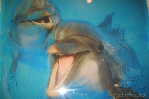 Наливной дизайнерский пол в Павлодаре #972405