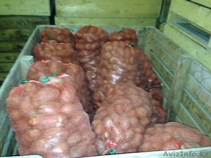Картофель оптом по 40 тенге #973806