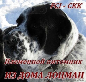 Питомник 